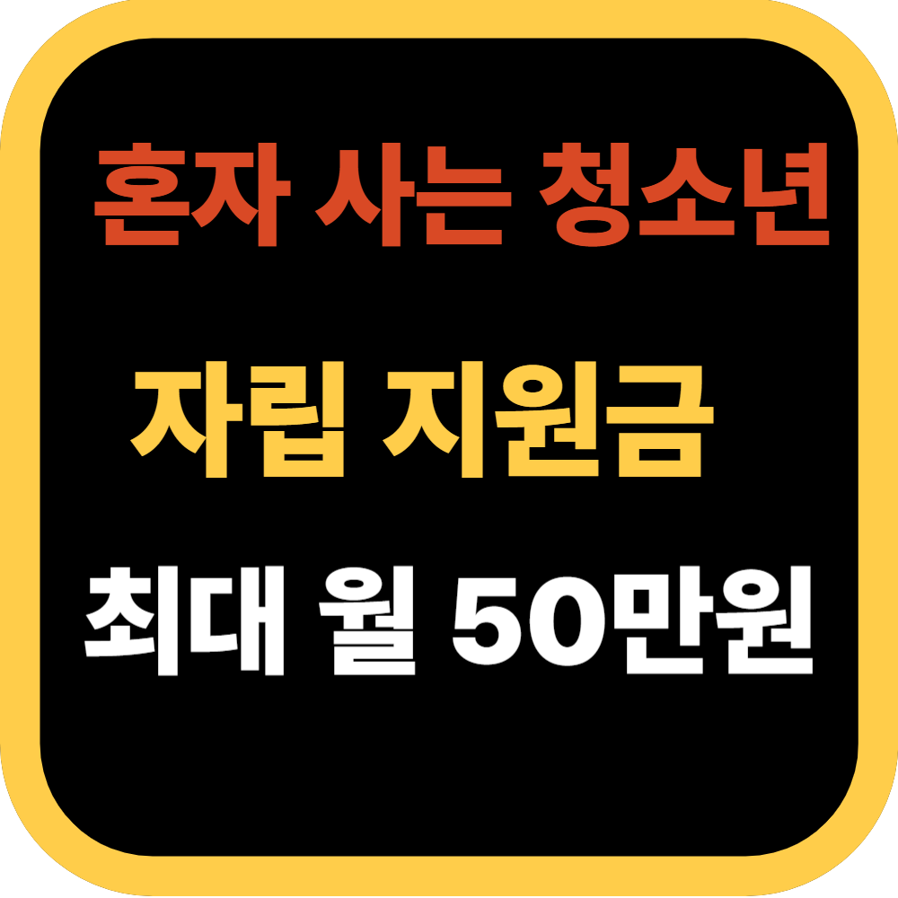 혼자 사는 청소년 자립 지원금